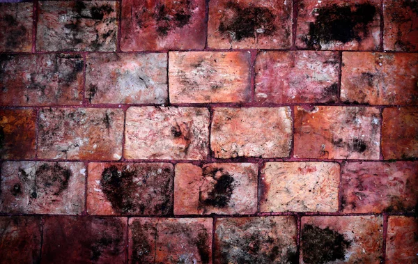 Background of brick wall texture — Stock Photo, Image