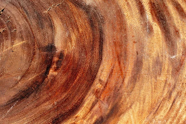 Tekstury drewna do produkcji mebli — Zdjęcie stockowe