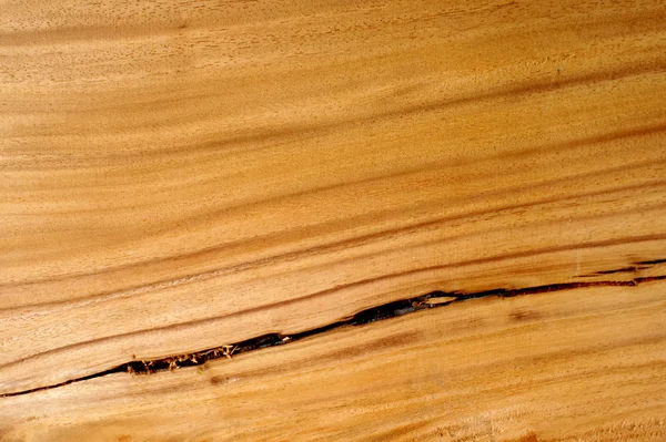 Textura de madera para la fabricación de muebles — Foto de Stock