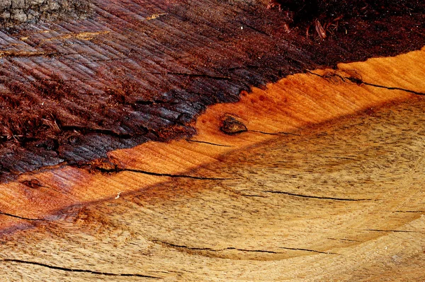 Textur aus Holz für die Möbelherstellung — Stockfoto