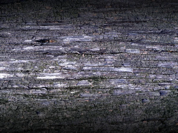 Textura de madeira com padrões naturais — Fotografia de Stock