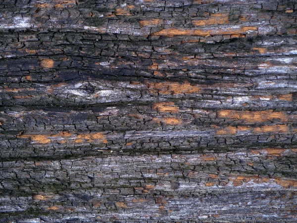 Houttextuur met natuurlijke patronen — Stockfoto