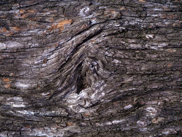 Wood texture with natural patterns — Stock Photo, Image