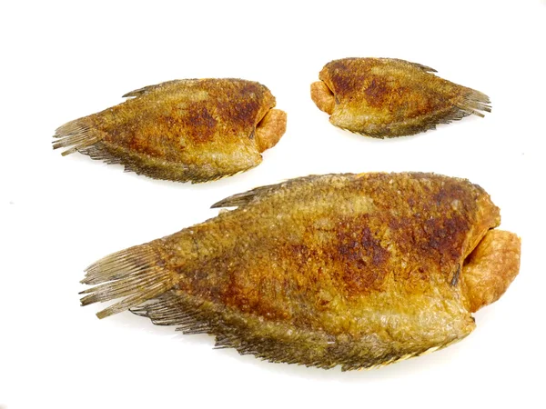 Fried fish on white — Stock Photo, Image