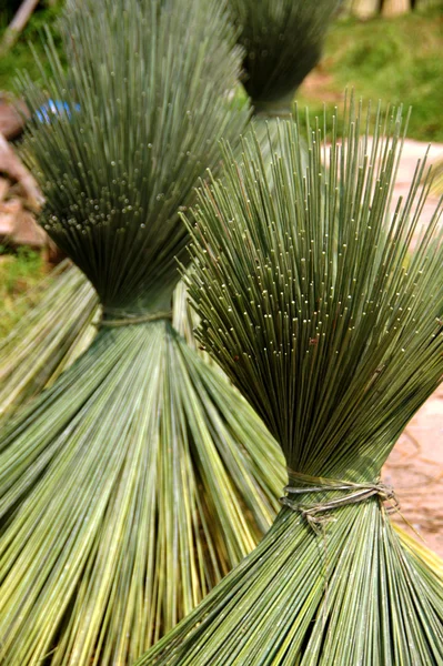 Papirüs sepetçilik el, ürün Tayland yapımı için. — Stok fotoğraf