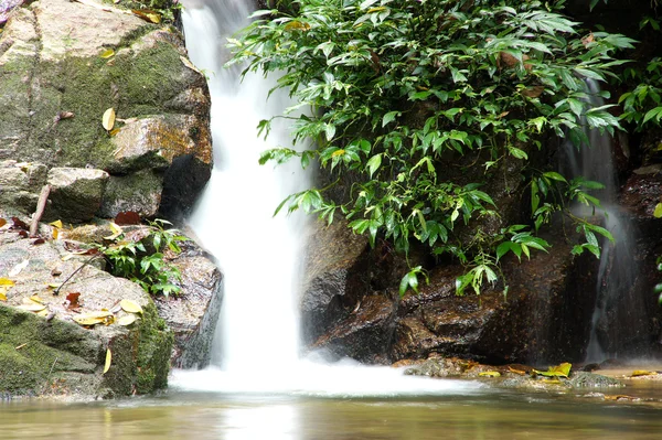 De små vattenfall och stenar i skogen, thailand — Stockfoto