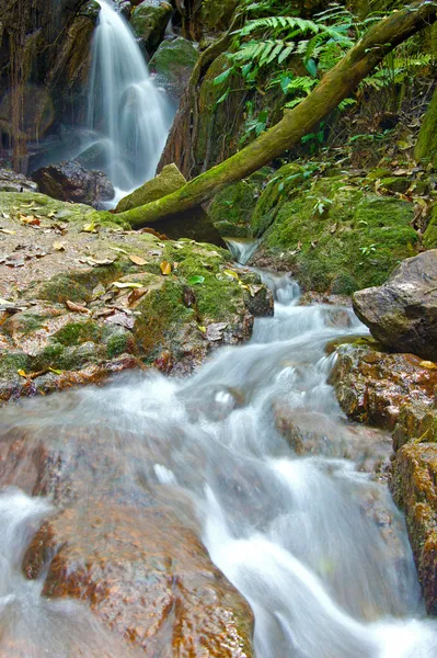 La petite cascade et les rochers dans la forêt, le thailand — Photo