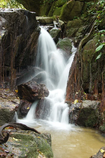 La petite cascade et les rochers dans la forêt, le thailand — Photo