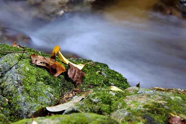 Der kleine Wasserfall und die Felsen im Wald, Thailand — Stockfoto