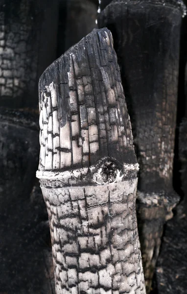 Бамбуковый уголь для изготовления чернил . — стоковое фото