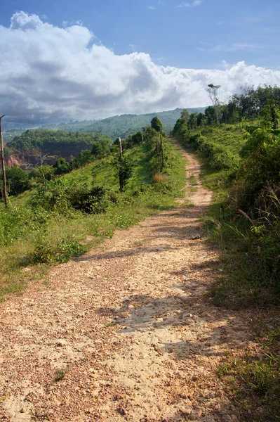 Slingrande väg i Thailand — Stockfoto