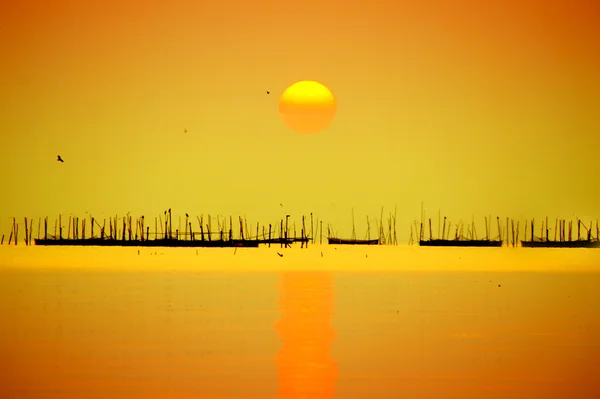 Cielo al tramonto — Foto Stock