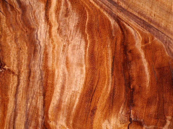 Textura de madera para la fabricación de muebles — Foto de Stock