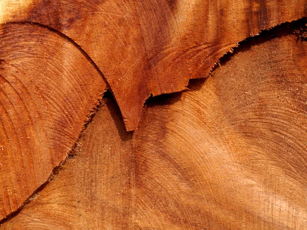 Textura de madeira para fabricação de móveis — Fotografia de Stock