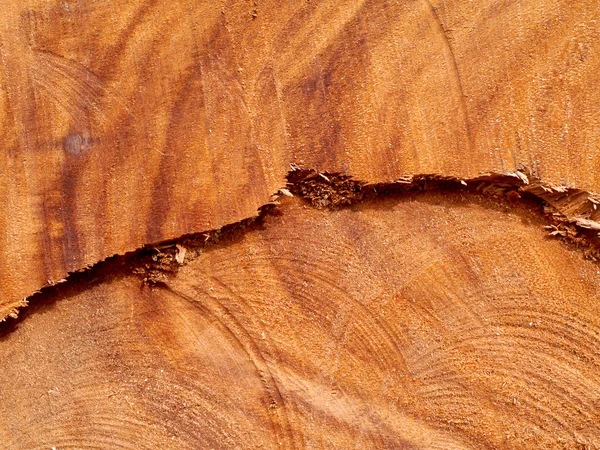 Texture di legno per la realizzazione di mobili — Foto Stock