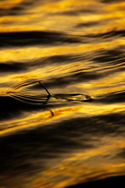 Cielo del atardecer en el lago, Tailandia . — Foto de Stock