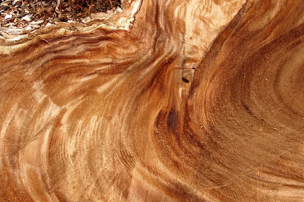 Textura de madera — Foto de Stock