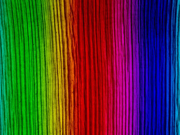 Vzorované Barva povrchu kůry. — Stock fotografie