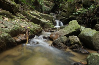 küçük şelale ve kayalar Forest, Tayland