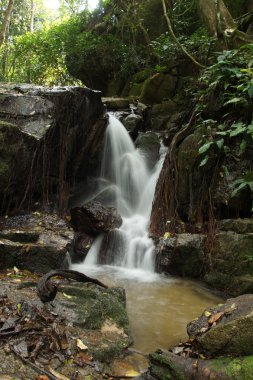 küçük şelale ve kayalar Forest, Tayland