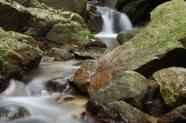küçük şelale ve kayalar Forest, Tayland