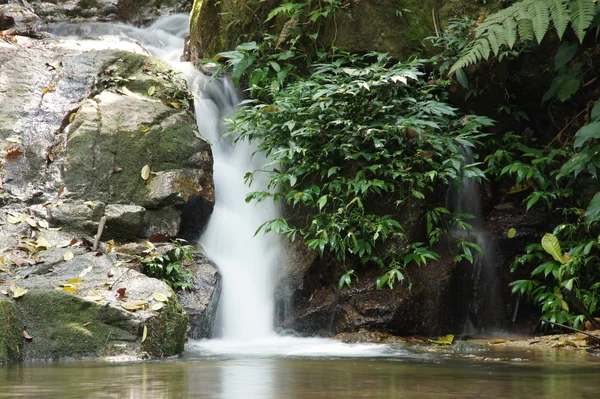De kleine waterval en rotsen in het bos, thailand — Stockfoto