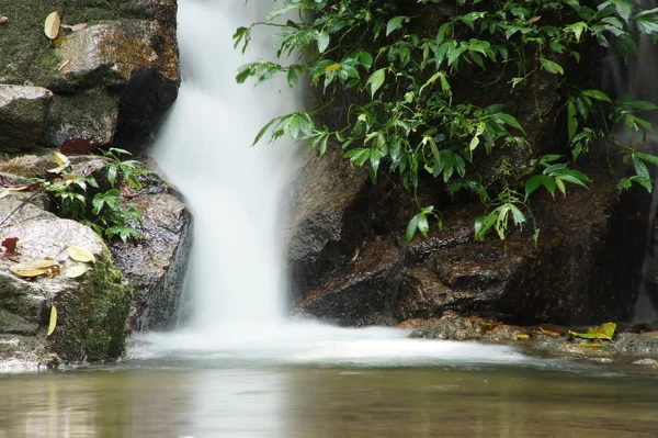 La petite cascade et les rochers dans la forêt, le thailand — Photo