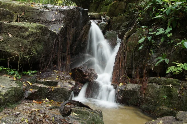 De kleine waterval en rotsen in het bos, thailand — Stockfoto