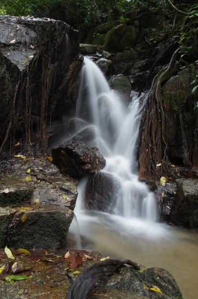 小瀑布和在森林里，泰国的岩石 — 图库照片