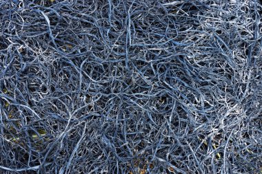 kömür saman pirinç.