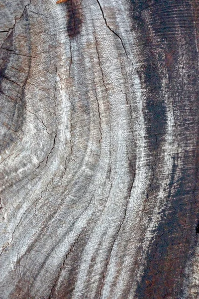 Textura de madeira — Fotografia de Stock