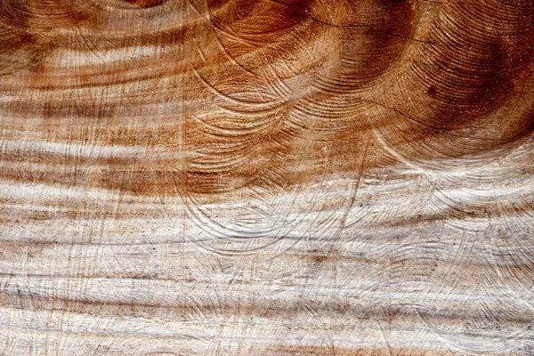 Textura de madeira — Fotografia de Stock