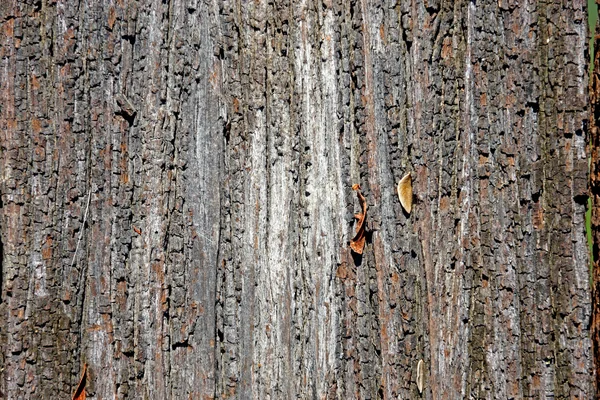 Oude houten oppervlak. — Stockfoto