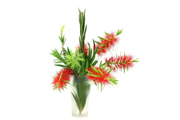 Piros üveg ecsettel virág elszigetelt fehér background — Stock Fotó