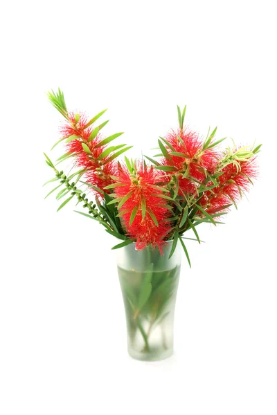 Bottiglia rossa spazzola fiore isolato su sfondo bianco — Foto Stock