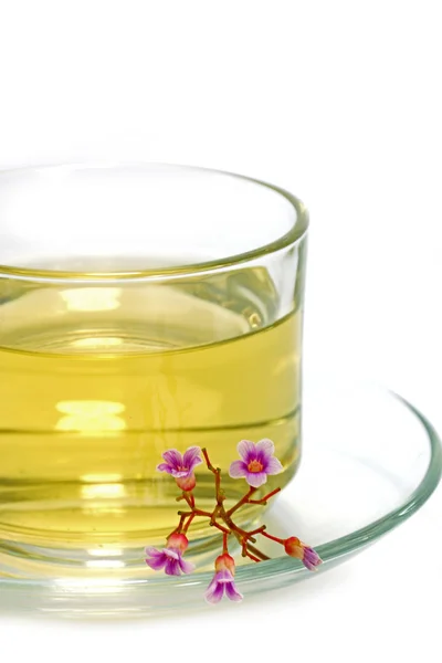 Kwiat herbaty mieszanki miodu i cytryny. — Zdjęcie stockowe