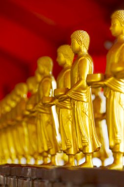 Buda duran bir satır