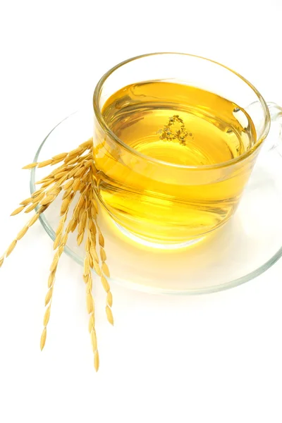 Extract van witte thee met gamma-cryzanol op witte achtergrond — Stockfoto