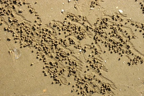Textura de areia de caranguejo — Fotografia de Stock