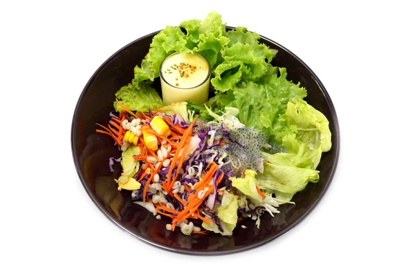 Karışık sebze salatası ve masala krem. — Stok fotoğraf