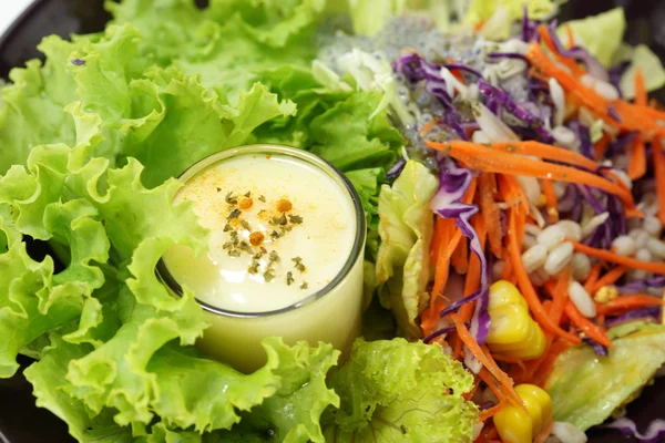 Mixed vegetable salad and Masala cream. — Stock Photo, Image