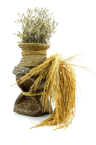 Flor seca em um vaso feito de papiro . — Fotografia de Stock