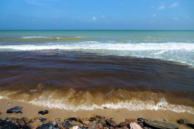Karadeniz atıksu. doğa imha