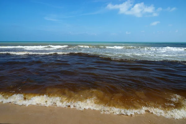 Black sea wastewater. destruction of nature — Stock Photo, Image