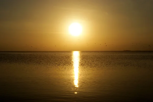 Prachtige zonsondergang aan het meer — Stockfoto