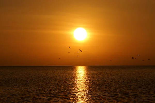 Prachtige zonsondergang aan het meer — Stockfoto