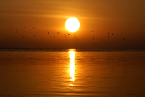 Bellissimo tramonto sul lago — Foto Stock
