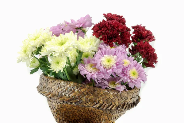 Chrysanthemum bouquet — Stock Photo, Image