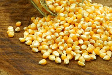 ahşap üzerine mısır tohumları