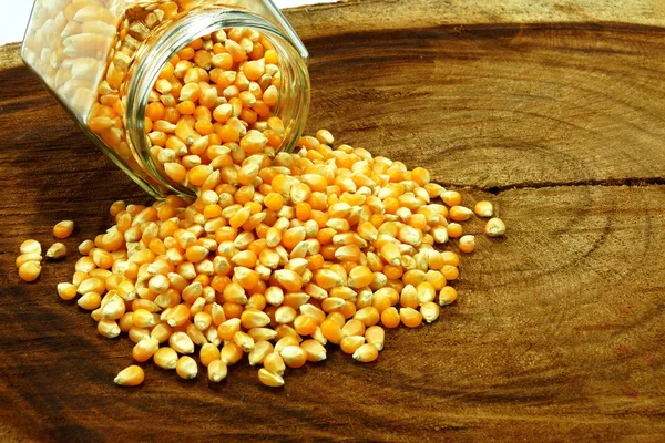 Corn seeds on wood — Stock Photo, Image